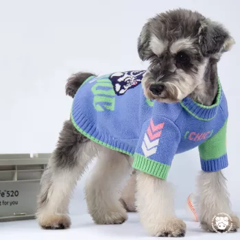 Cute Love Bear Dog & Cat Hoodie: Fit and Comfort Guide