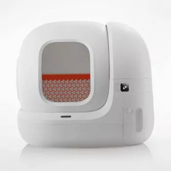 Vet Advice on Self-Cleaning Litter Boxes: Pros & Cons